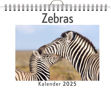 Leon Hoffmann: Zebras - (Wandkalender 2025, Kalender DIN A4 quer, Monatskalender im Querformat mit Kalendarium, das perfekte Geschenk), Kalender