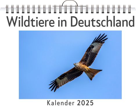 Max Herrmann: Wildtiere in Deutschland - (Wandkalender 2025, Kalender DIN A4 quer, Monatskalender im Querformat mit Kalendarium, das perfekte Geschenk), Kalender