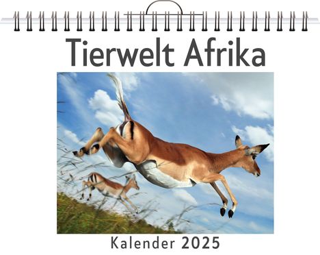 Leon Friedrich: Tierwelt Afrika, Kalender