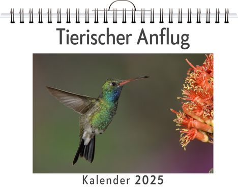 Lena Krüger: Tierischer Anflug, Kalender