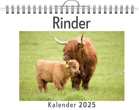 Emily Hofmann: Rinder - (Wandkalender 2025, Kalender DIN A4 quer, Monatskalender im Querformat mit Kalendarium, das perfekte Geschenk), Kalender