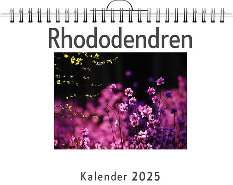 Elias Frank: Rhododendren - (Wandkalender 2025, Kalender DIN A4 quer, Monatskalender im Querformat mit Kalendarium, das perfekte Geschenk), Kalender