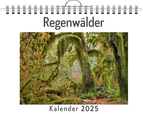 Samuel Schmidt: Regenwälder - (Wandkalender 2025, Kalender DIN A4 quer, Monatskalender im Querformat mit Kalendarium, das perfekte Geschenk), Kalender