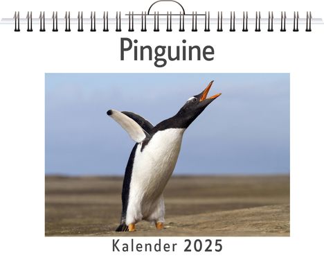 Anna Meyer: Pinguine - (Wandkalender 2025, Kalender DIN A4 quer, Monatskalender im Querformat mit Kalendarium, das perfekte Geschenk), Kalender