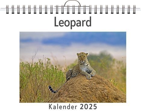 Felix Friedrich: Leopard - (Wandkalender 2025, Kalender DIN A4 quer, Monatskalender im Querformat mit Kalendarium, das perfekte Geschenk), Kalender