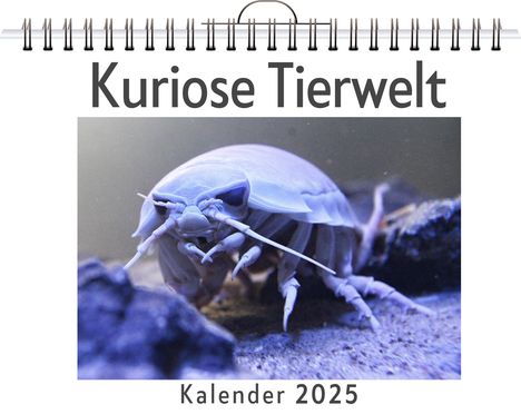 Finn Bauer: Kuriose Tierwelt - (Wandkalender 2025, Kalender DIN A4 quer, Monatskalender im Querformat mit Kalendarium, das perfekte Geschenk), Kalender