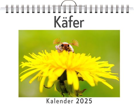 Matteo Schmitz: Käfer - (Wandkalender 2025, Kalender DIN A4 quer, Monatskalender im Querformat mit Kalendarium, das perfekte Geschenk), Kalender