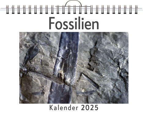 Noah Schubert: Fossilien - (Wandkalender 2025, Kalender DIN A4 quer, Monatskalender im Querformat mit Kalendarium, das perfekte Geschenk), Kalender