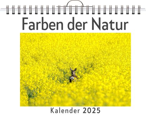 Elias Fuchs: Farben der Natur - (Wandkalender 2025, Kalender DIN A4 quer, Monatskalender im Querformat mit Kalendarium, das perfekte Geschenk), Kalender