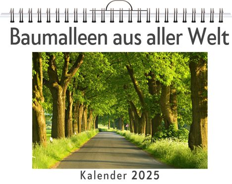 Finn Schmidt: Baumalleen aus aller Welt - (Wandkalender 2025, Kalender DIN A4 quer, Monatskalender im Querformat mit Kalendarium, das perfekte Geschenk), Kalender