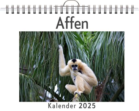 Laura Schwarz: Affen - (Wandkalender 2025, Kalender DIN A4 quer, Monatskalender im Querformat mit Kalendarium, das perfekte Geschenk), Kalender