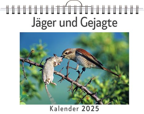 Laura Peters: Jäger und Gejagte - (Wandkalender 2025, Kalender DIN A4 quer, Monatskalender im Querformat mit Kalendarium, das perfekte Geschenk), Kalender