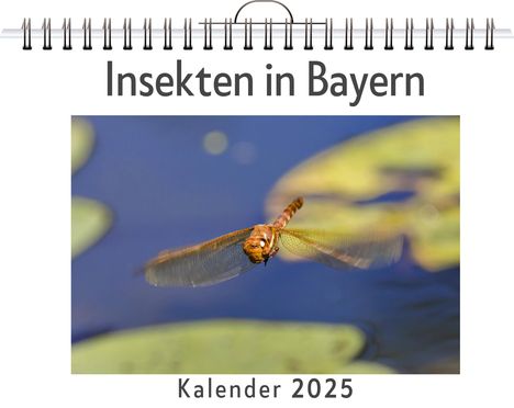 Noah Herrmann: Insekten in Bayern - (Wandkalender 2025, Kalender DIN A4 quer, Monatskalender im Querformat mit Kalendarium, das perfekte Geschenk), Kalender