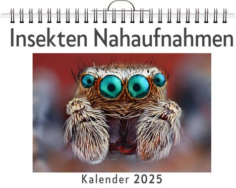 Zoe Weber: Insekten Nahaufnahmen - (Wandkalender 2025, Kalender DIN A4 quer, Monatskalender im Querformat mit Kalendarium, das perfekte Geschenk), Kalender