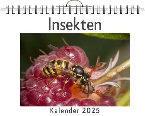 Elias Becker: Insekten - (Wandkalender 2025, Kalender DIN A4 quer, Monatskalender im Querformat mit Kalendarium, das perfekte Geschenk), Kalender