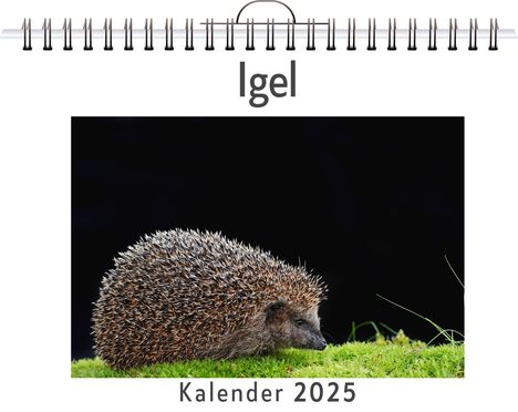 Emily Herrmann: Igel - (Wandkalender 2025, Kalender DIN A4 quer, Monatskalender im Querformat mit Kalendarium, das perfekte Geschenk), Kalender