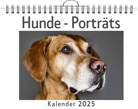 Julia Krause: Hunde - Porträts - (Wandkalender 2025, Kalender DIN A4 quer, Monatskalender im Querformat mit Kalendarium, das perfekte Geschenk), Kalender