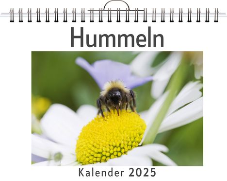 Leah Fischer: Hummeln - (Wandkalender 2025, Kalender DIN A4 quer, Monatskalender im Querformat mit Kalendarium, das perfekte Geschenk), Kalender