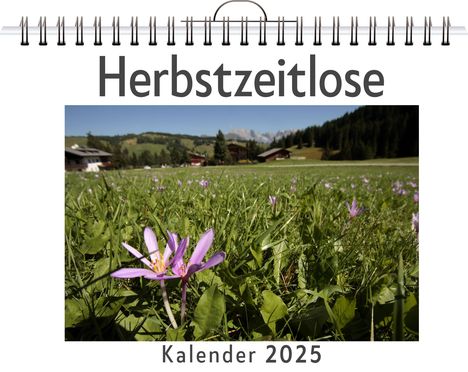 Max Müller: Herbstzeitlose, Kalender