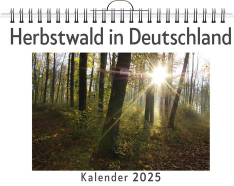 Olivia Bauer: Herbstwald in Deutschland, Kalender