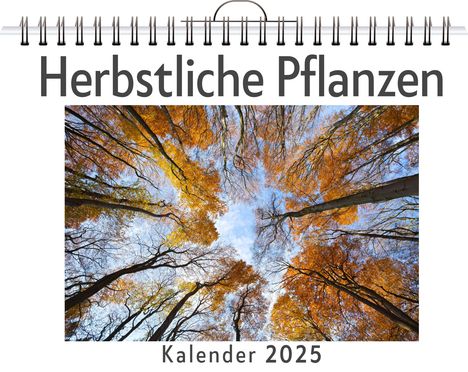 Ben Maier: Herbstliche Pflanzen, Kalender