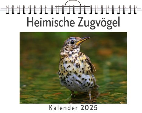 Eva Schmidt: Heimische Zugvögel, Kalender