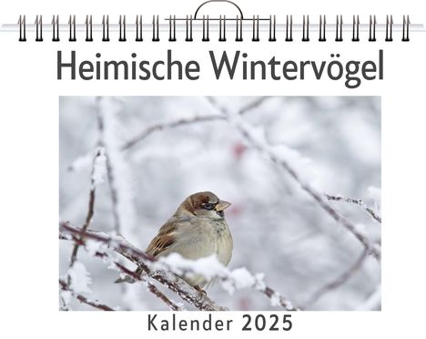 Ava Keller: Heimische Wintervögel, Kalender