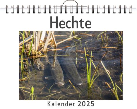 Ben Müller: Hechte, Kalender