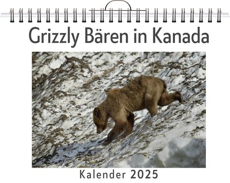 Anna Richter: Grizzly Bären in Kanada, Kalender