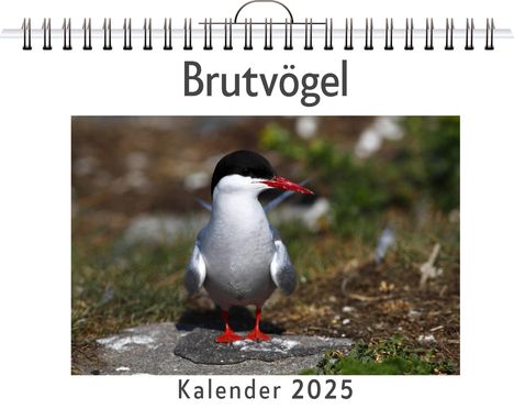 Emil Scholz: Brutvögel, Kalender