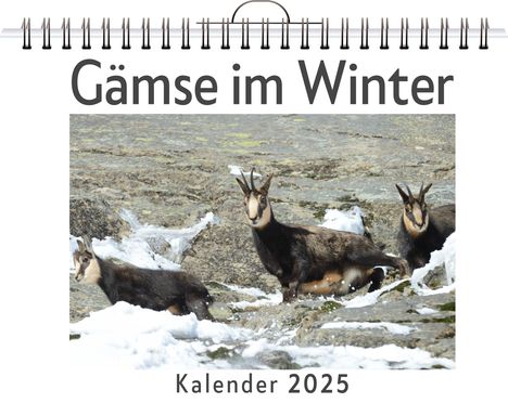 Noah Möller: Gämse im Winter, Kalender