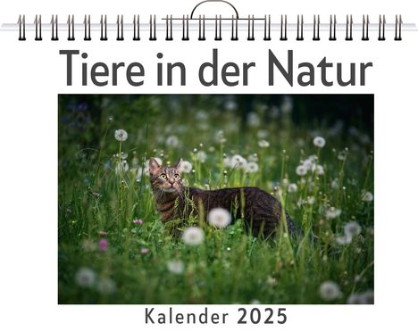 Lucas Huber: Tiere in der Natur, Kalender