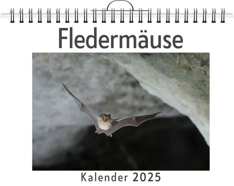 Theo Schubert: Fledermäuse, Kalender