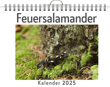 Paul Günther: Feuersalamander, Kalender