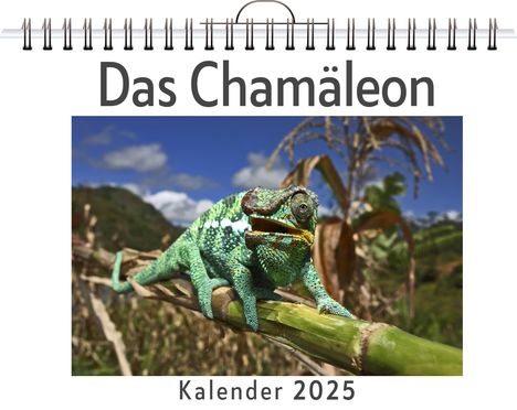 Emma Schubert: Das Chamäleon, Kalender