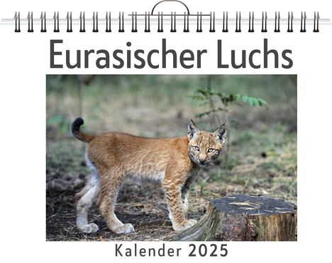 Lucas Lang: Eurasischer Luchs, Kalender