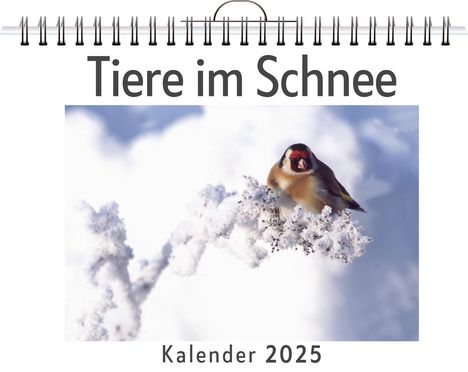 Nele Schröder: Tiere im Schnee, Kalender