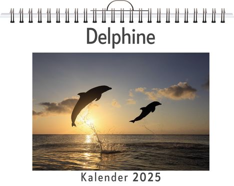 Ava Weber: Delphine, Kalender