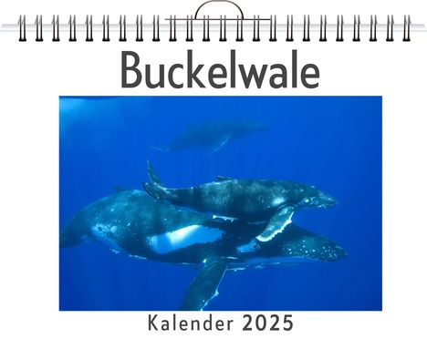 Lena Klein: Buckelwale, Kalender