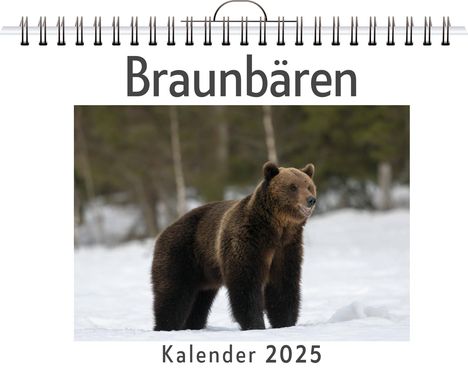 Leon Hofmann: Braunbären, Kalender