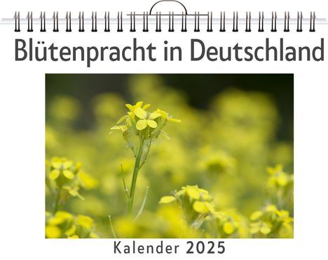 Anton Scholz: Blütenpracht in Deutschland, Kalender