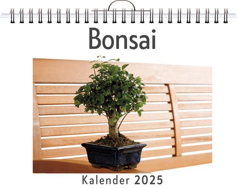 Max Krüger: Bonsai, Kalender