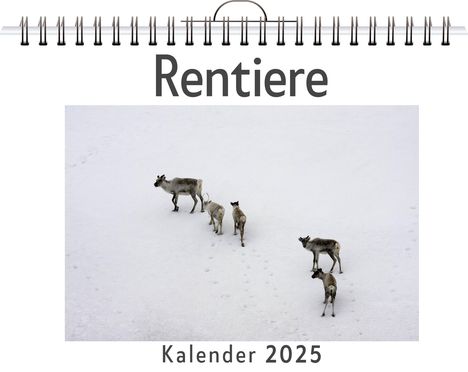 Tim König: Rentiere, Kalender