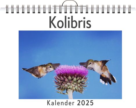 Lena Meier: Kolibris, Kalender