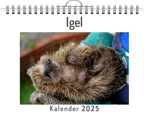 Lucy Koch: Igel, Kalender