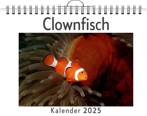 Julia Möller: Clownfisch, Kalender