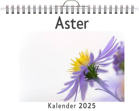 Theo Becker: Aster, Kalender