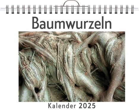 Linus Fischer: Baumwurzeln, Kalender