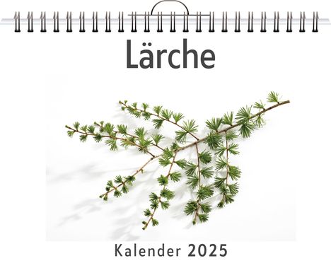 Emilia Wagner: Lärche, Kalender