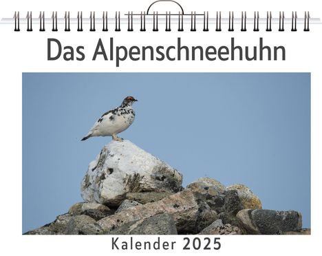 Tim Lange: Das Alpenschneehuhn, Kalender